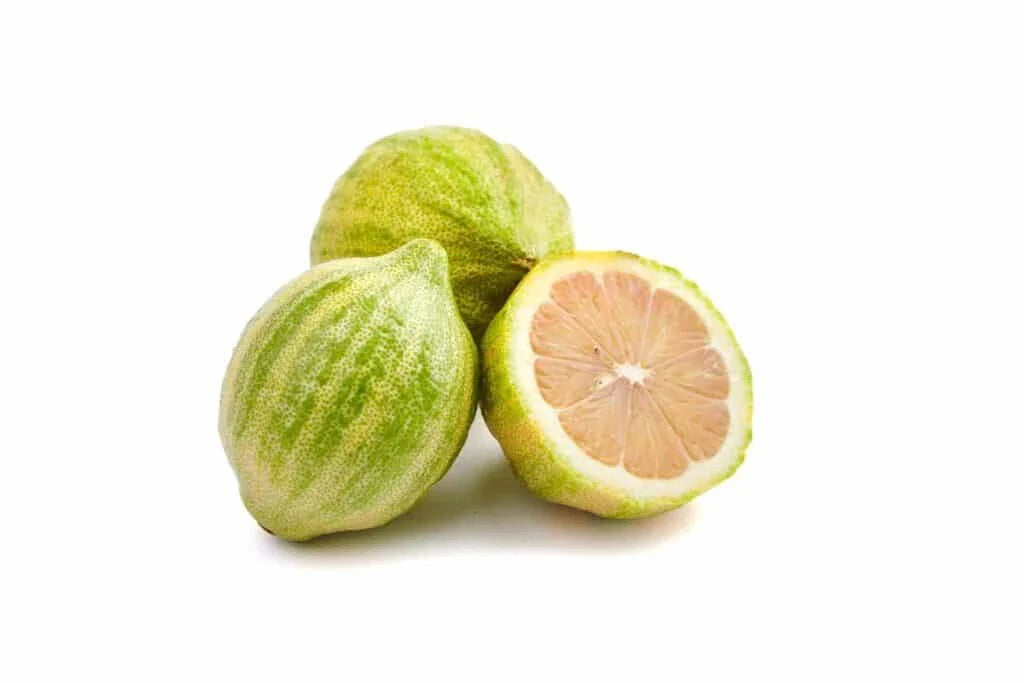 Variegated Pink Lemon Seeds - 5+ Pack - Citrus limon - Ideal for Garden Planting - USA Fast Shipping