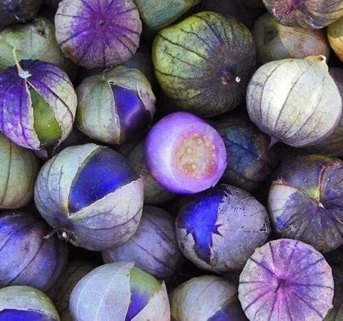 Purple Tomatillo Seeds | 100+ Seeds | Organic, Heirloom | Perfect for Salsa | Physalis ixocarpa | Made in USA