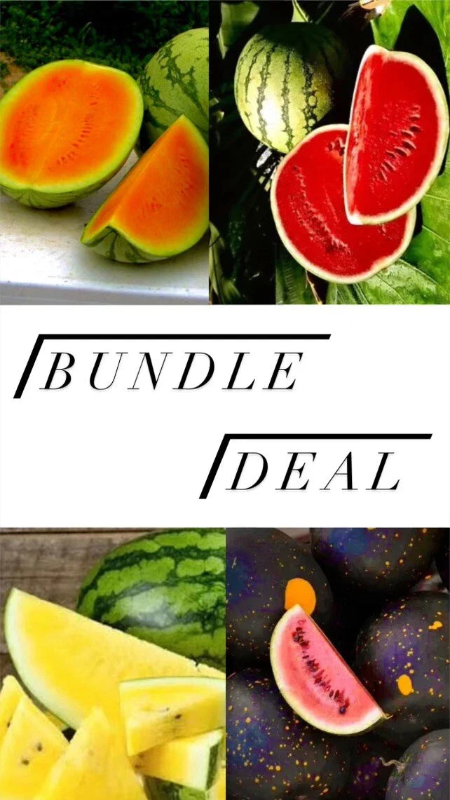 Watermelon Seeds Variety Pack - Orange, Crimson Red, Yellow, Star & Moon - Citrullus lanatus