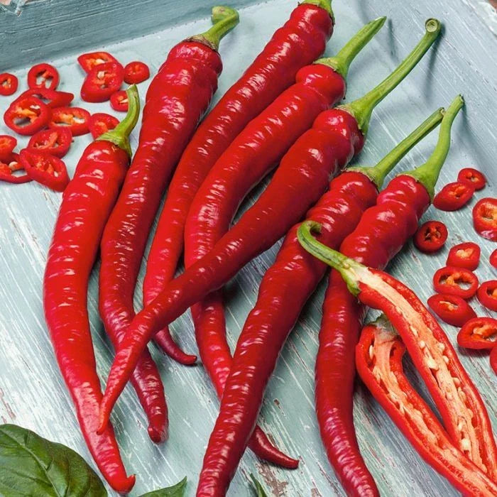 Cayenne Hot Pepper Seeds - 200+ Heirloom Organic Non-GMO - Long Slim Variety - Capsicum annuum