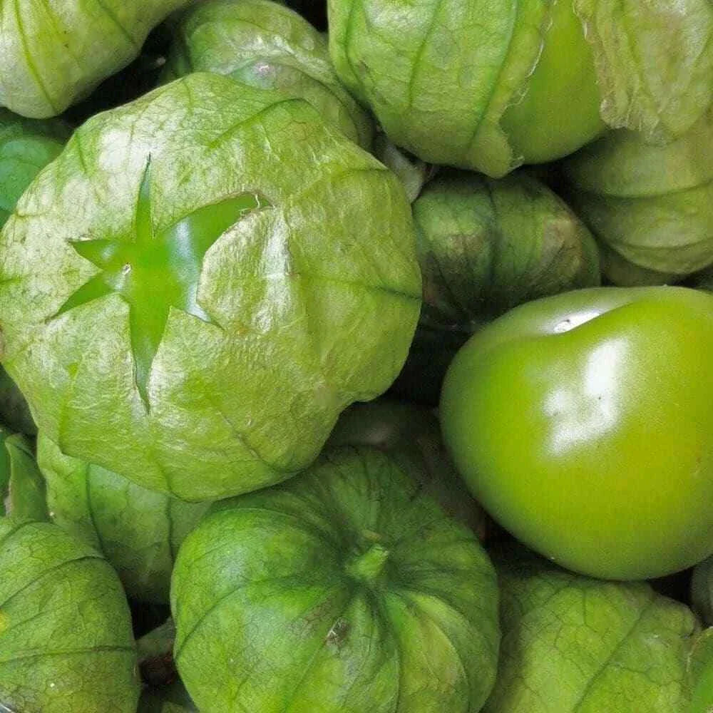 Tomatillo Seeds 50 Ct Heirloom Non-GMO Grande Rio Verde Vegetable Seeds - Free Shipping USA