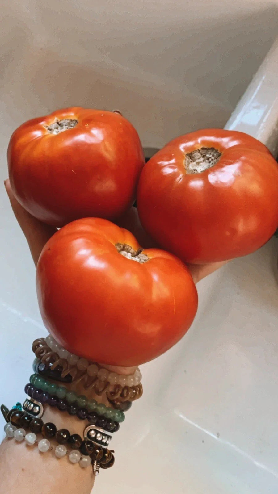 Large Beefsteak Tomato Seeds - 25 Non-GMO Organic Seeds for Homegrown Garden - Solanum lycopersicum