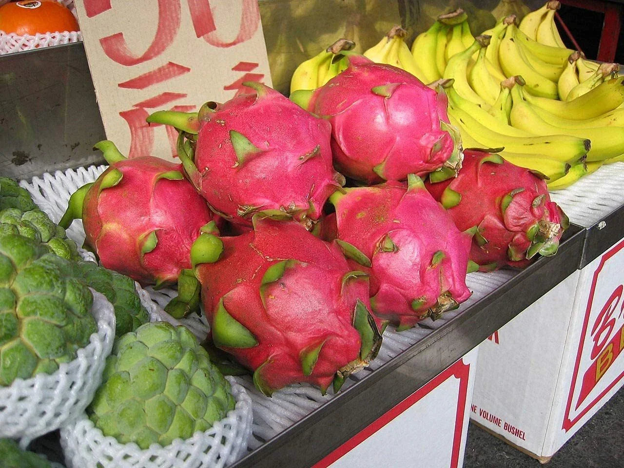 Dragon Fruit Seeds 100+ Pack Pitaya Hylocereus Undatus Strawberry Pear Succulent