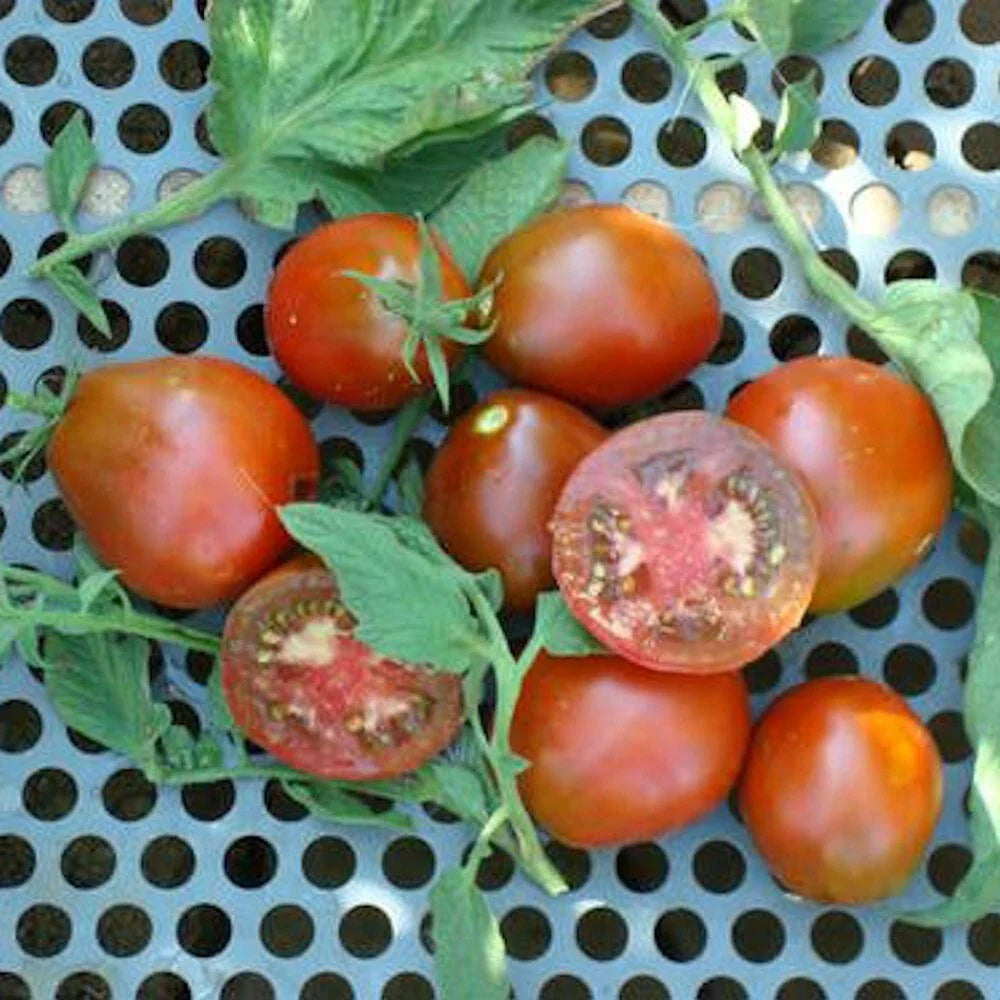 Black Truffle Tomato Seeds - 100 Pack - Indeterminate Non-GMO Heirloom - Lycopersicon esculentum