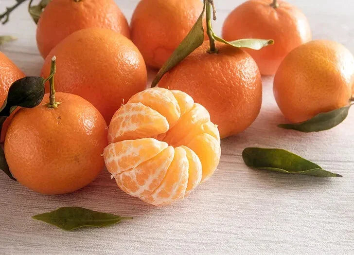 Clementine Orange Seeds - 5+ Pack for Garden Planting - Citrus reticulata - Fast Shipping USA