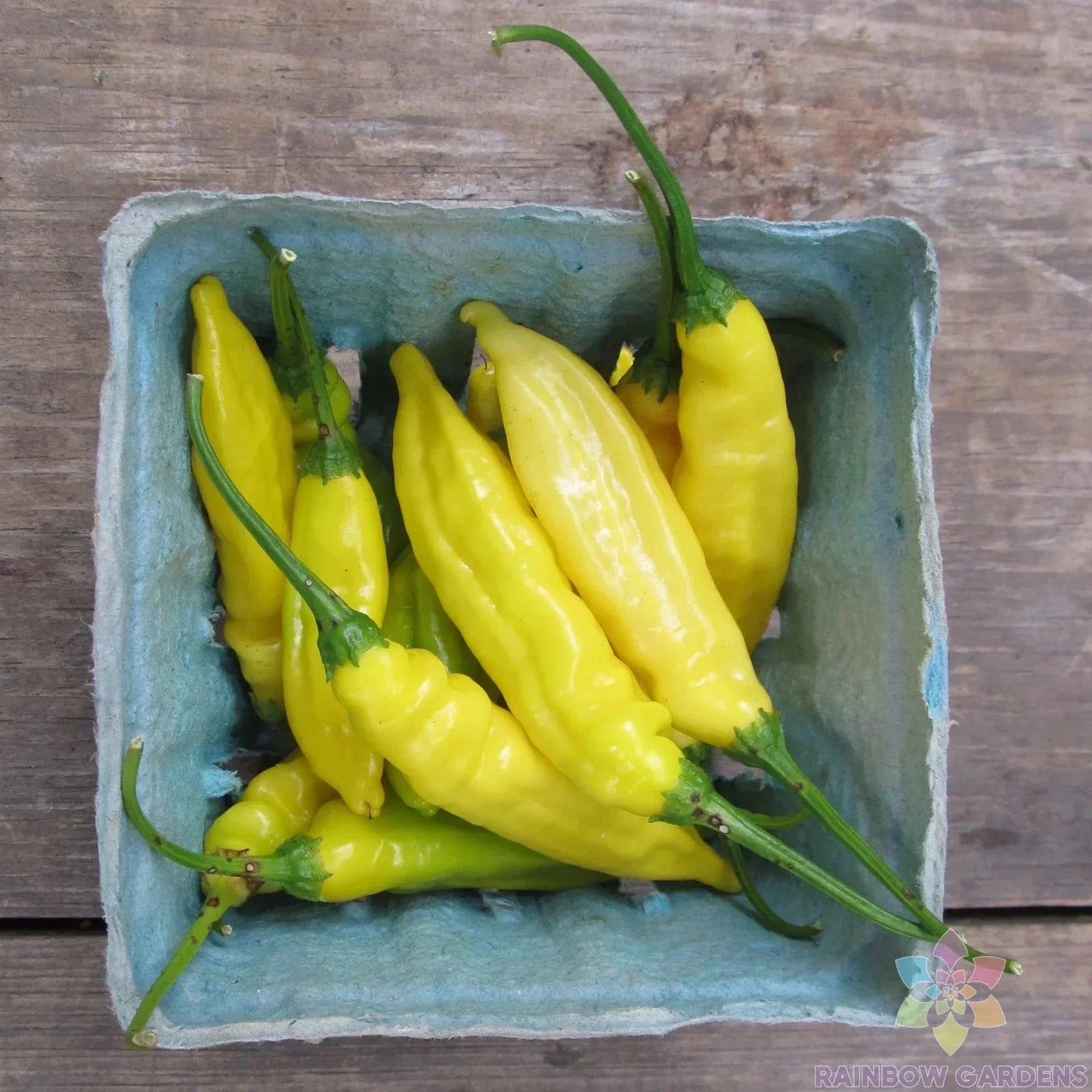 Lemon Drop Hot Pepper Seeds - 25+ Pack for Garden Planting - Capsicum Annuum - USA Grown, Free Shipping