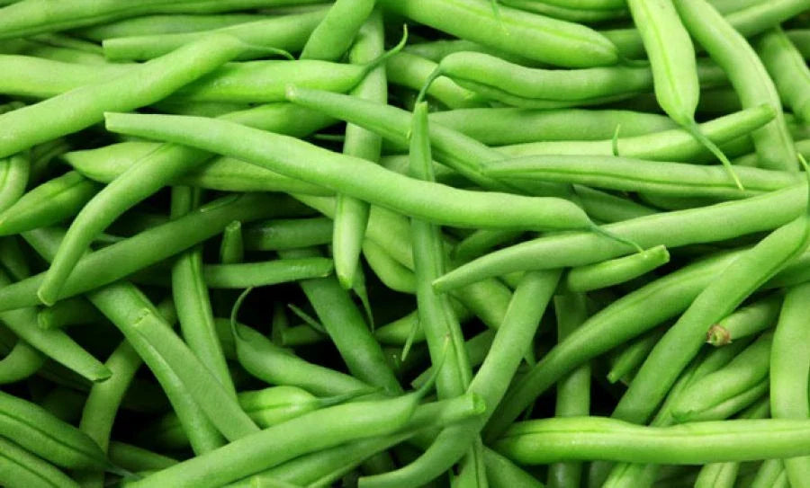 Momentum Green Bean Seeds - Fresh Seeds for Planting - Phaseolus vulgaris - Non-GMO Green Bean Variety