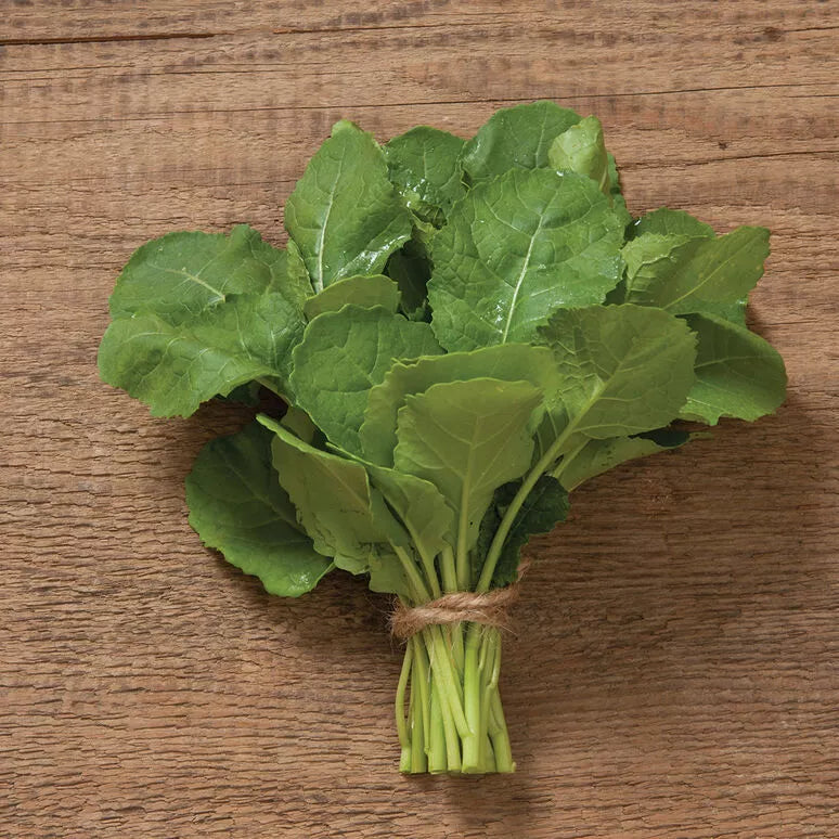 Ethiopian Kale Seeds - 2000 Non-GMO Heirloom Seeds - Brassica Carinata - Organic Vegetable Gardening