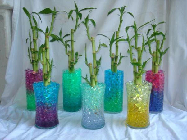 Water Beads for Lucky Bamboo Plants - Hydrating Soil Moisture Retainer - Non-Toxic Gel Beads for Healthy Roots and Growth