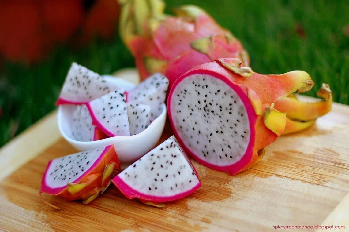 Dragon Fruit Seeds, 50 Count, Hylocereus Triangularis, Luscious Tropical Fruit, Easy to Grow