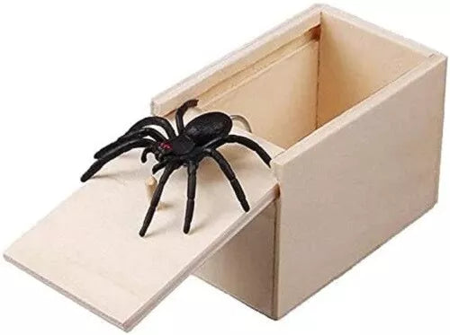 Spider Prank Box - 6 x 4 inches - Realistic Spider Toy - Fun Joke Gift for All Ages
