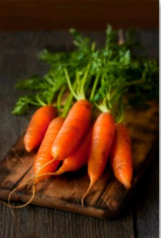 Little Fingers Baby Carrot Seeds - 300+ Non-GMO Organic Open Pollinated - Daucus carota