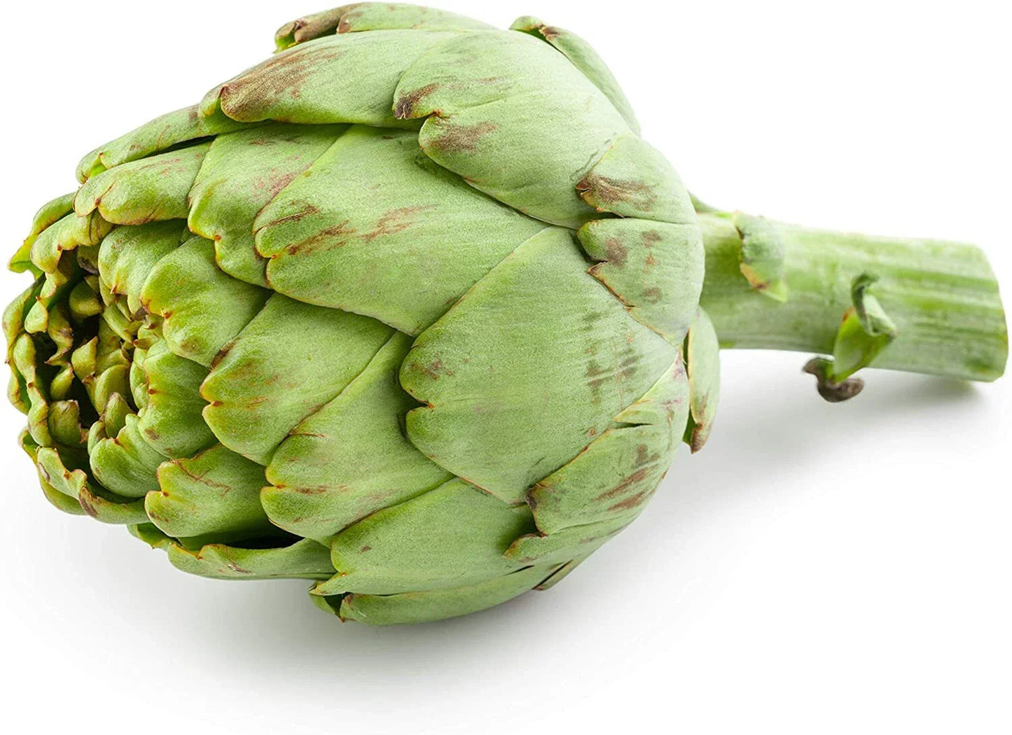 30 Globe Artichoke Seeds for Planting, Rare Exotic Vegetable, Cynara scolymus, Heirloom Seed Variety