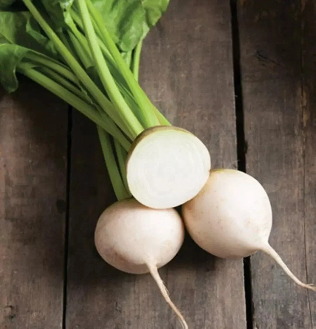 White Albino Beet Seeds - 500+ Heirloom Organic NON-GMO - Fresh Beetroot Seeds (Beta vulgaris)