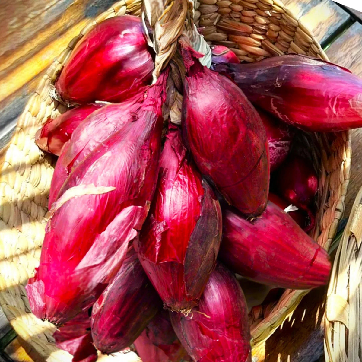 Red Tropea Onion Seeds - Italian Cipolla Rossa Di Torpea - Non-GMO for 2025 Planting