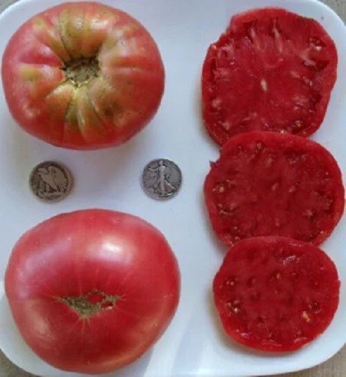 Huge Pink Heirloom Beefsteak Rose Seeds - 25 Fresh Seeds for Delicious Blooms - Perfect for Gardens and Cut Flowers