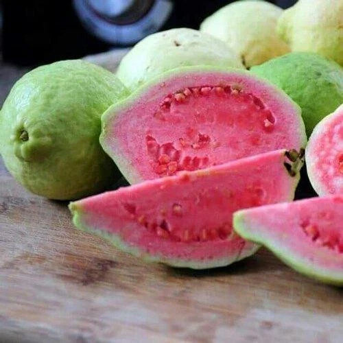 Taiwan Pink Guava Seeds - 50+ Pack for Garden Planting - Psidium guajava - USA