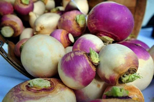 Turnip Seeds - 500 Heirloom Non-GMO Purple Top White Globe - Brassica rapa