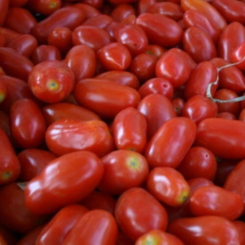 San Marzano Tomato Seeds | Heirloom Non-GMO Variety | Determinate | Perfect for Home Gardening