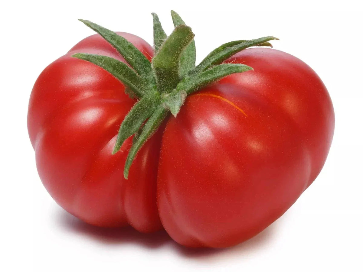 Beefsteak Tomato Seeds - Large Heirloom Non-GMO Organic - 120+ Fresh Seeds - Perfect for Home Gardening