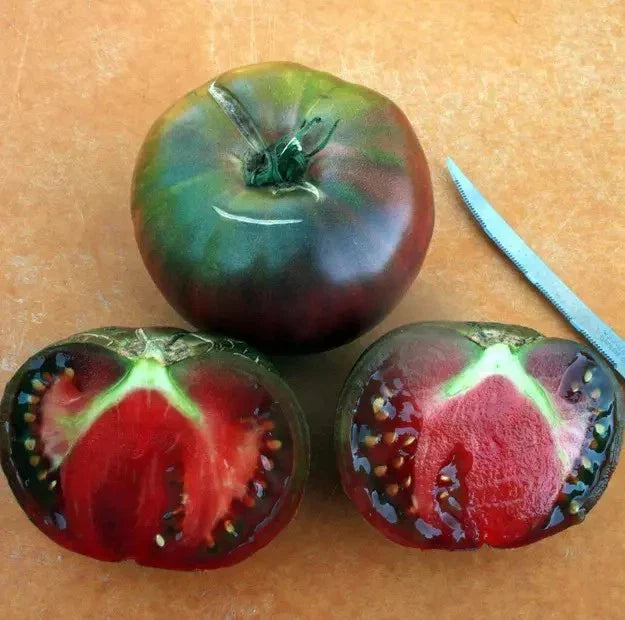 Black From Tula Tomato Seeds - 10+ Heirloom Organic Non-GMO - Rare Variety - Perfect for Home Gardening