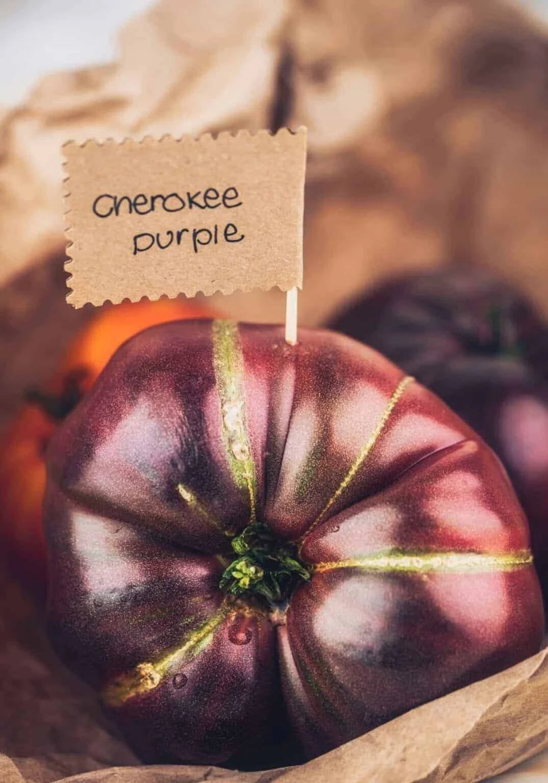 Cherokee Purple Tomato Seeds - 30+ Heirloom Non-GMO Organic Seeds - Fresh, Rich Flavor, Solanum lycopersicum
