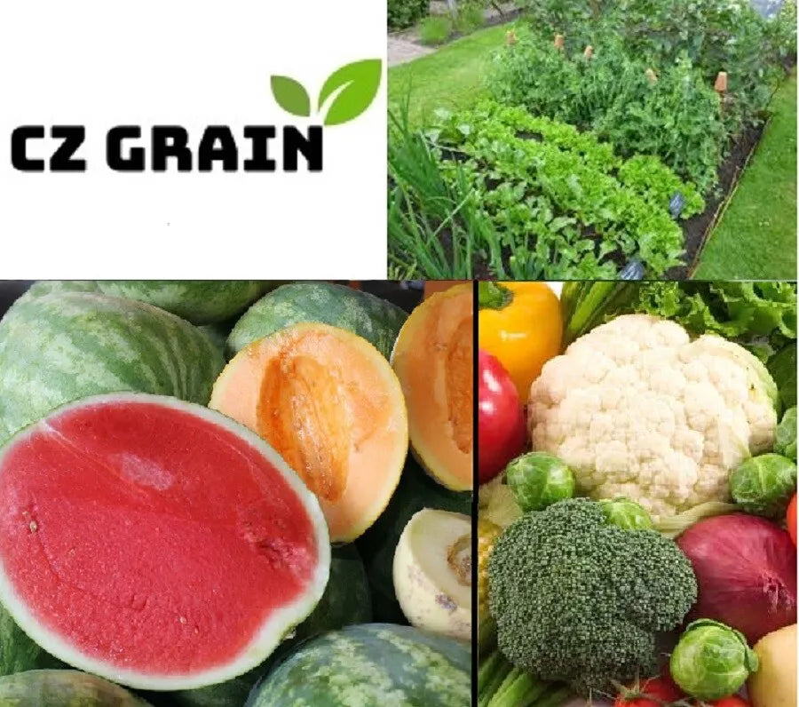 Vegetable Garden Seed Kit - Assorted Seeds: Tomato, Carrot, Lettuce, Bean, Cucumber, Onion - Non-GMO Heirloom Varieties