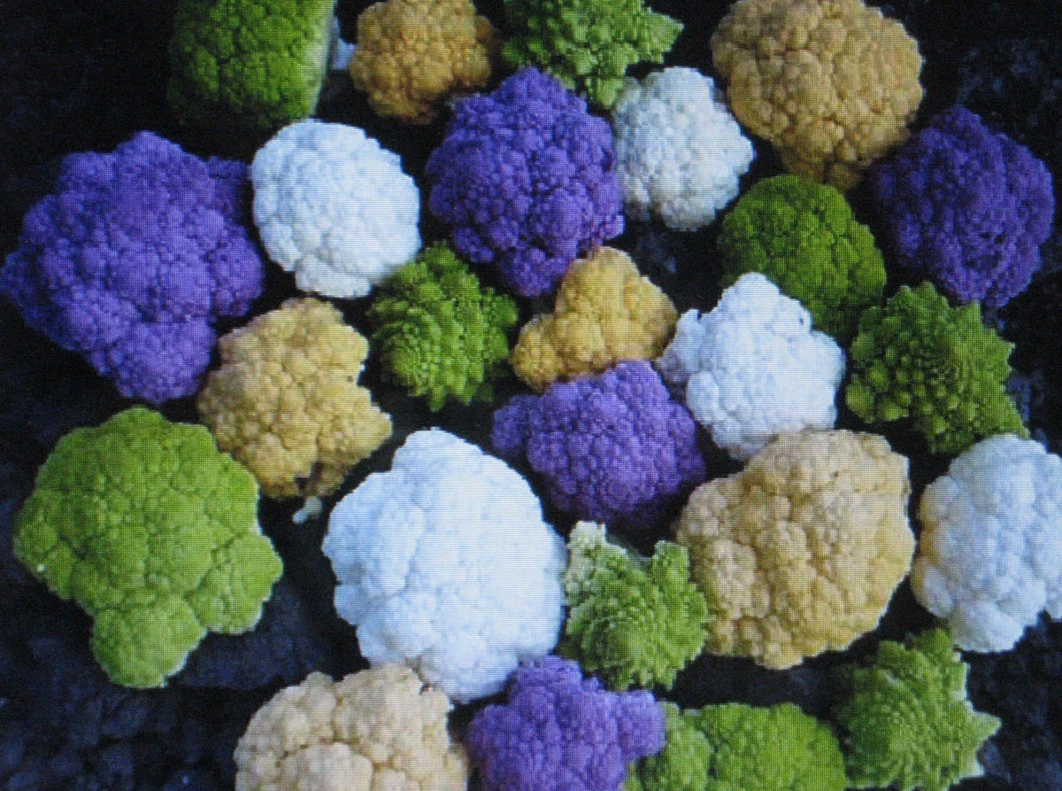 Rainbow Blend Cauliflower & Broccoli Seeds - Mixed Colors - 150 Seeds - Healthful Vegetable Garden Variety