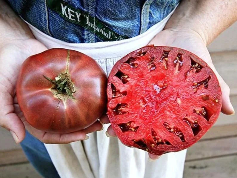 Cherokee Purple Tomato Seeds - 30+ Heirloom Non-GMO Seeds - Fresh Organic Gardening Supplies