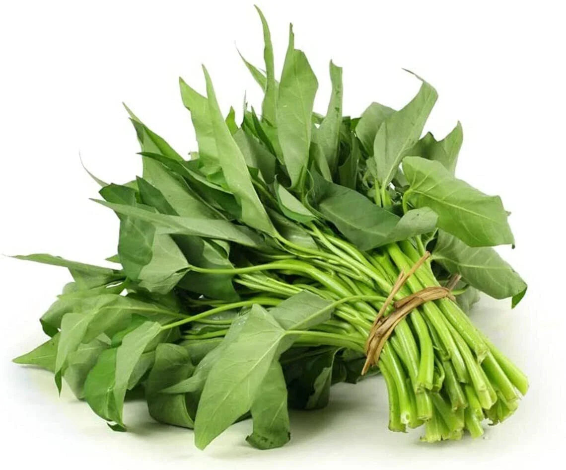 Kong Xin Cai Seeds 250 Seeds Green Leaf Vegetable Seeds for Planting Garden Brassica rapa var. chinensis