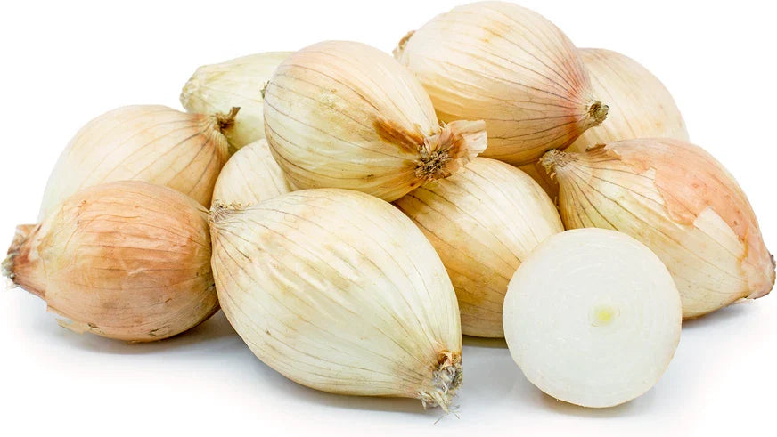 Maui Onion Seeds - 500+ Count - Non-GMO Garden Seeds for Planting - Allium cepa