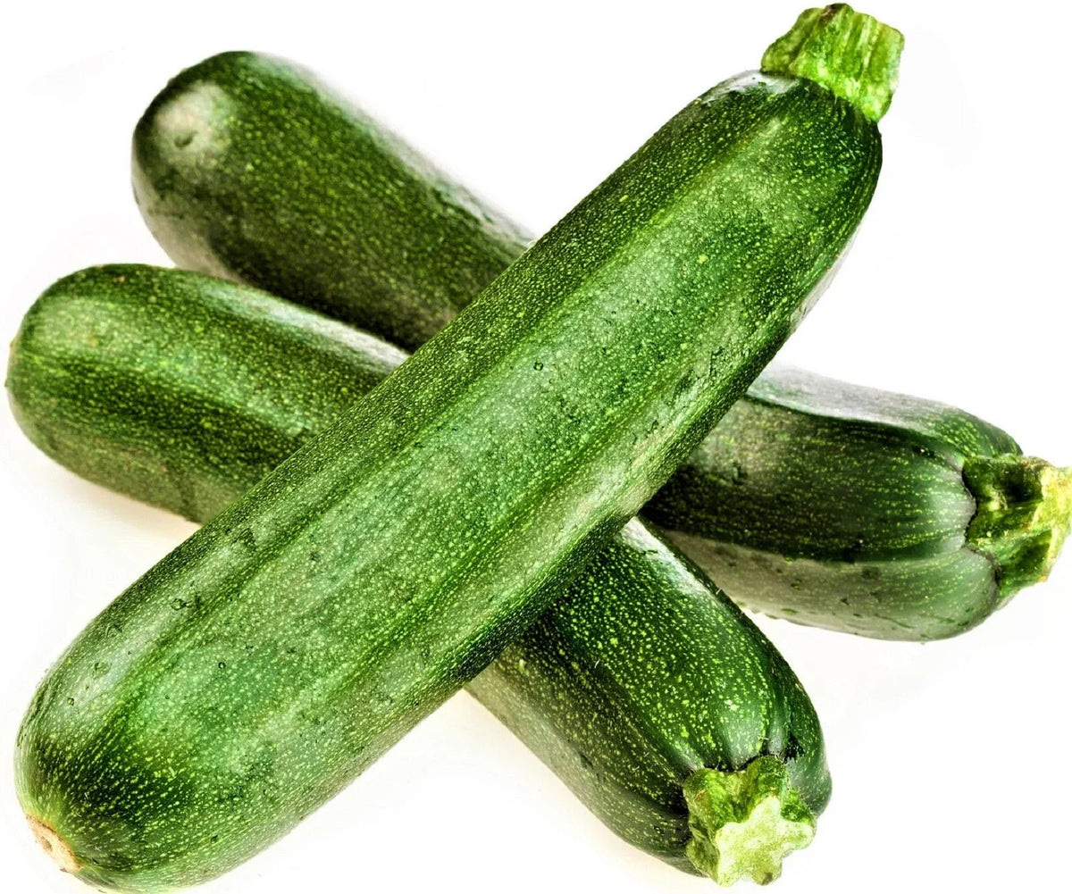 Black Beauty Zucchini Seeds - 20 Non-GMO Seeds - Heirloom Variety for Home Garden - Cucurbita pepo
