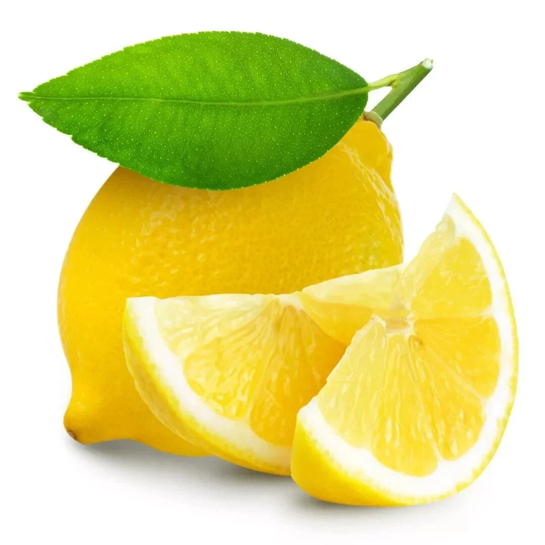Lemon - 15 Seeds - Citrus Limon - Fresh USA Grown - 2024 Harvest