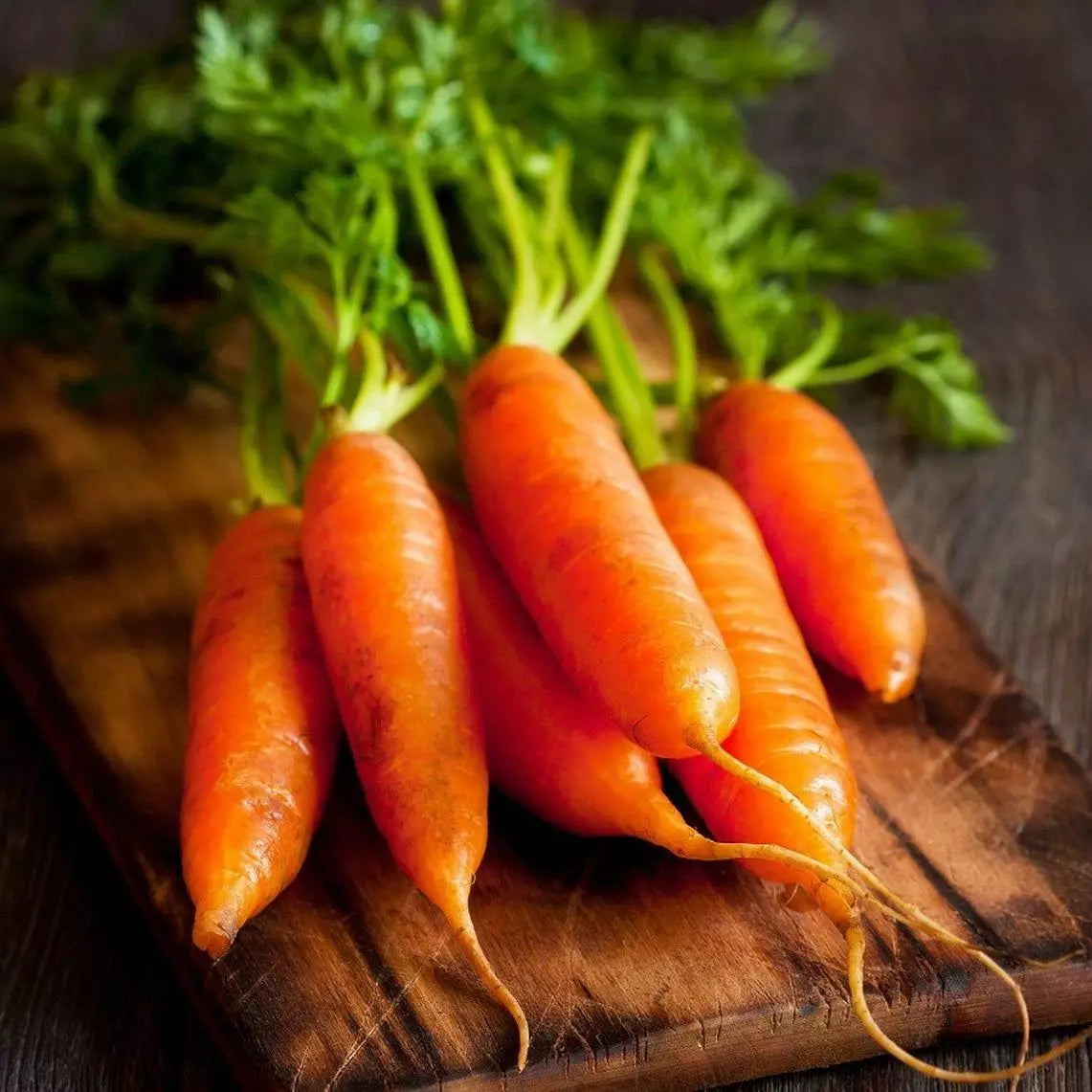 Little Fingers Carrot Seeds - Nantes Type, Baby Carrot, NON-GMO, Heirloom Variety, Organic Gardening
