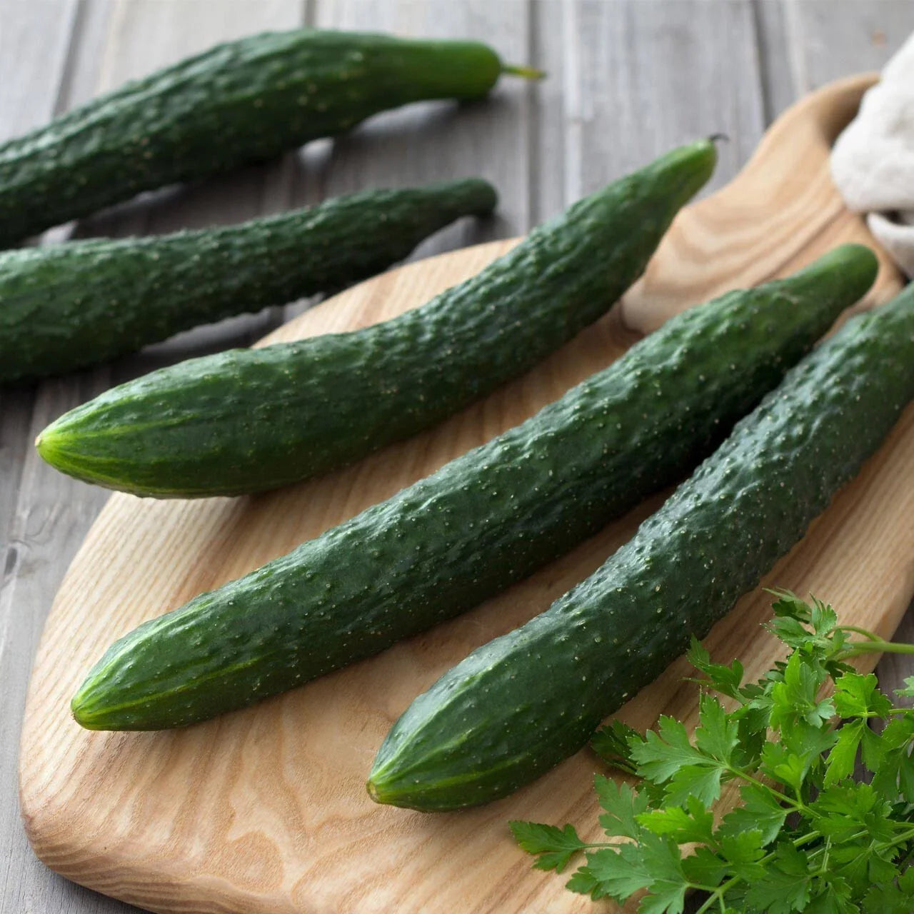 Suyo Long Cucumber Seeds - 25+ Heirloom Organic Non-GMO - Rare Cucumis sativus