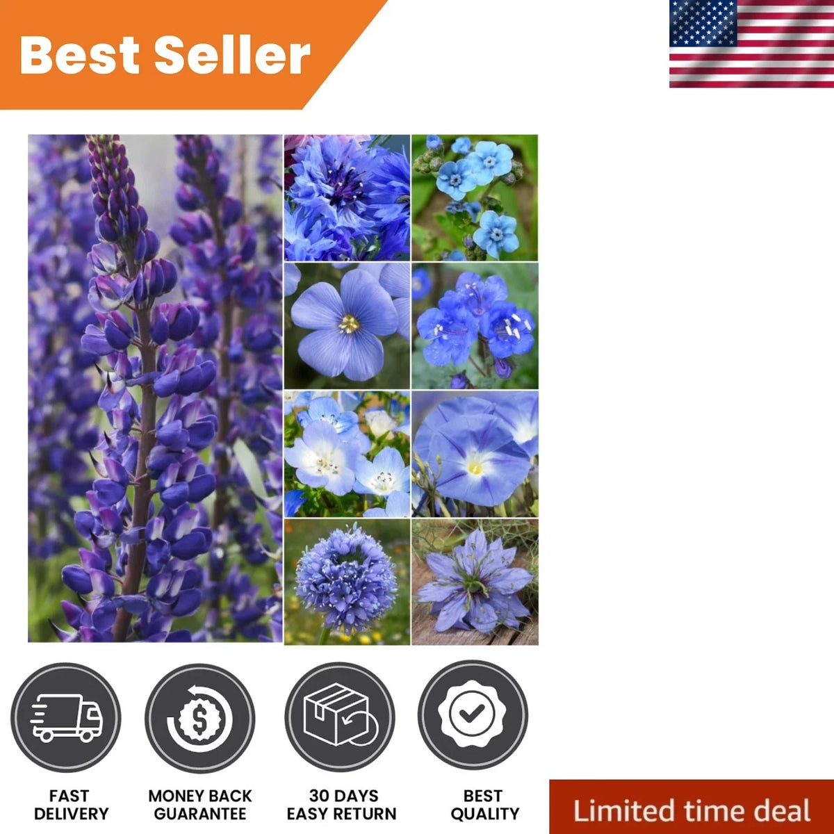 Mixed Wildflower Seeds - 30,000+ Seeds - Attract Butterflies & Bees - Native Wildflower Blend