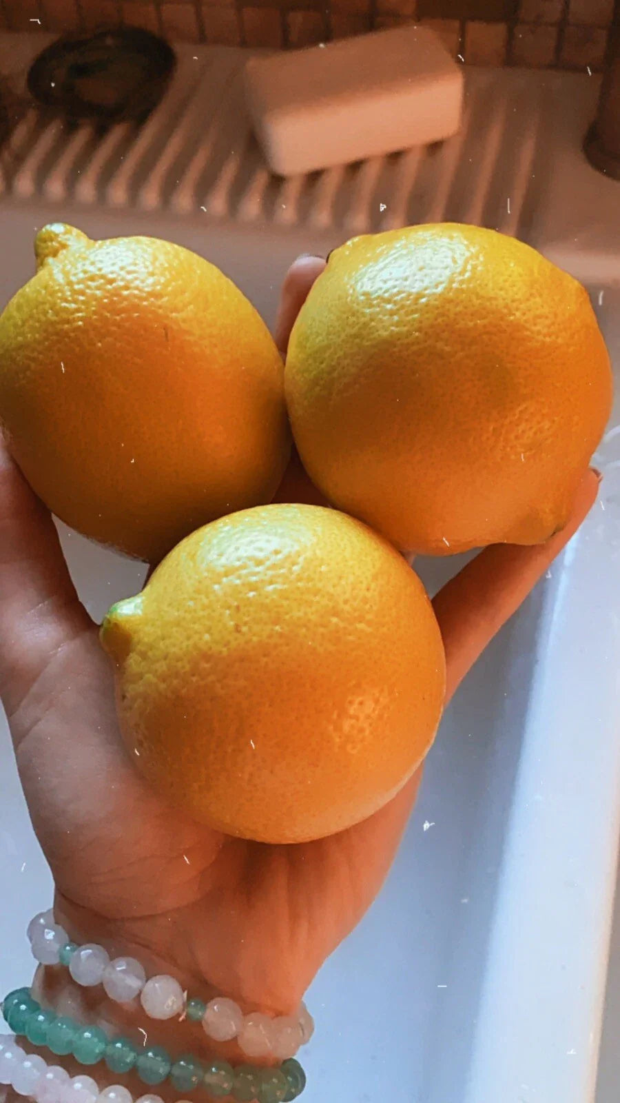 Lemon Seeds - 10 Organic Non-GMO Pesticide-Free Citrus Seeds - Citrus limon
