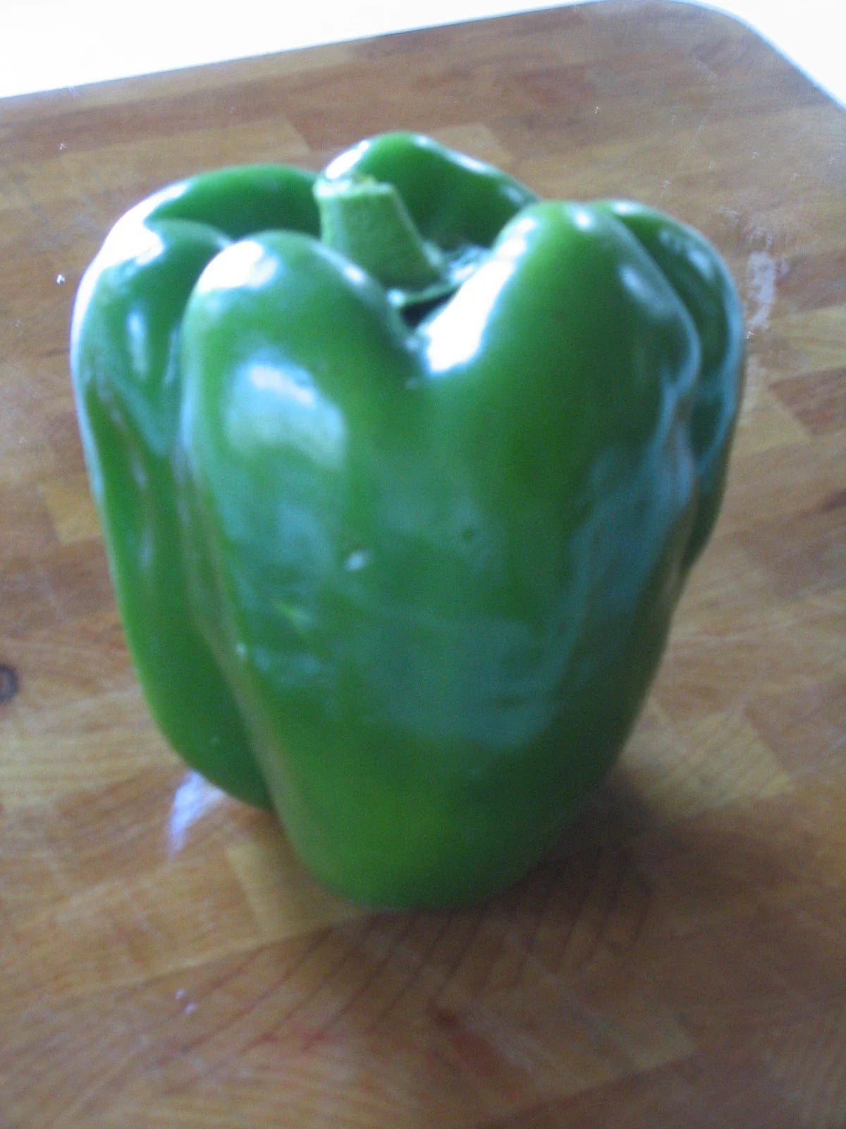 YOLO WONDER SWEET PEPPER SEEDS - 20 Glossy Seeds, Chef's Favorite Variety, Capsicum annuum