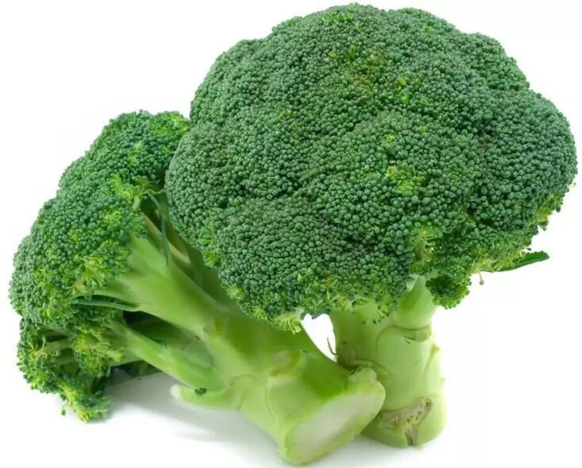 Broccoli Seeds 100+ Heirloom Organic Non-GMO Waltham 29 Fresh - Perfect for Home Gardening and Sustainable Farming
