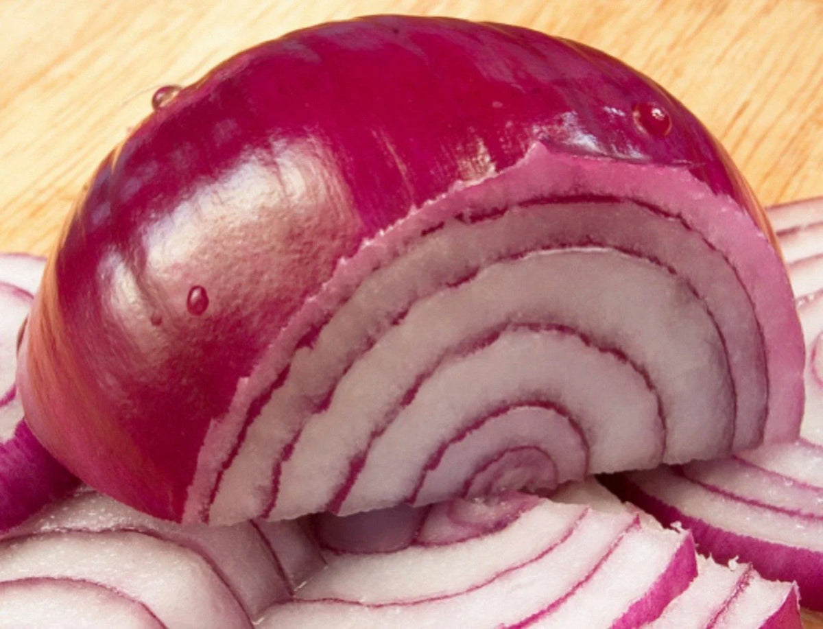 Organic Red Burgundy Sweet Onion Seeds - Short Day Variety for Spring & Fall Vegetable Garden - Allium cepa