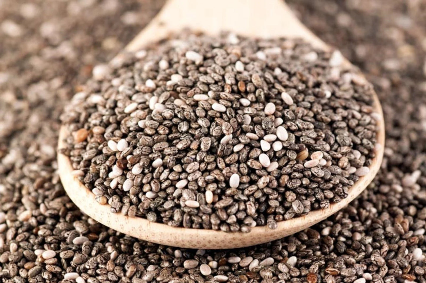 Chia Seeds, 12 Ounces, Microgreens and Sprouting, Salvia hispanica, Organic Superfood for Healthy Living