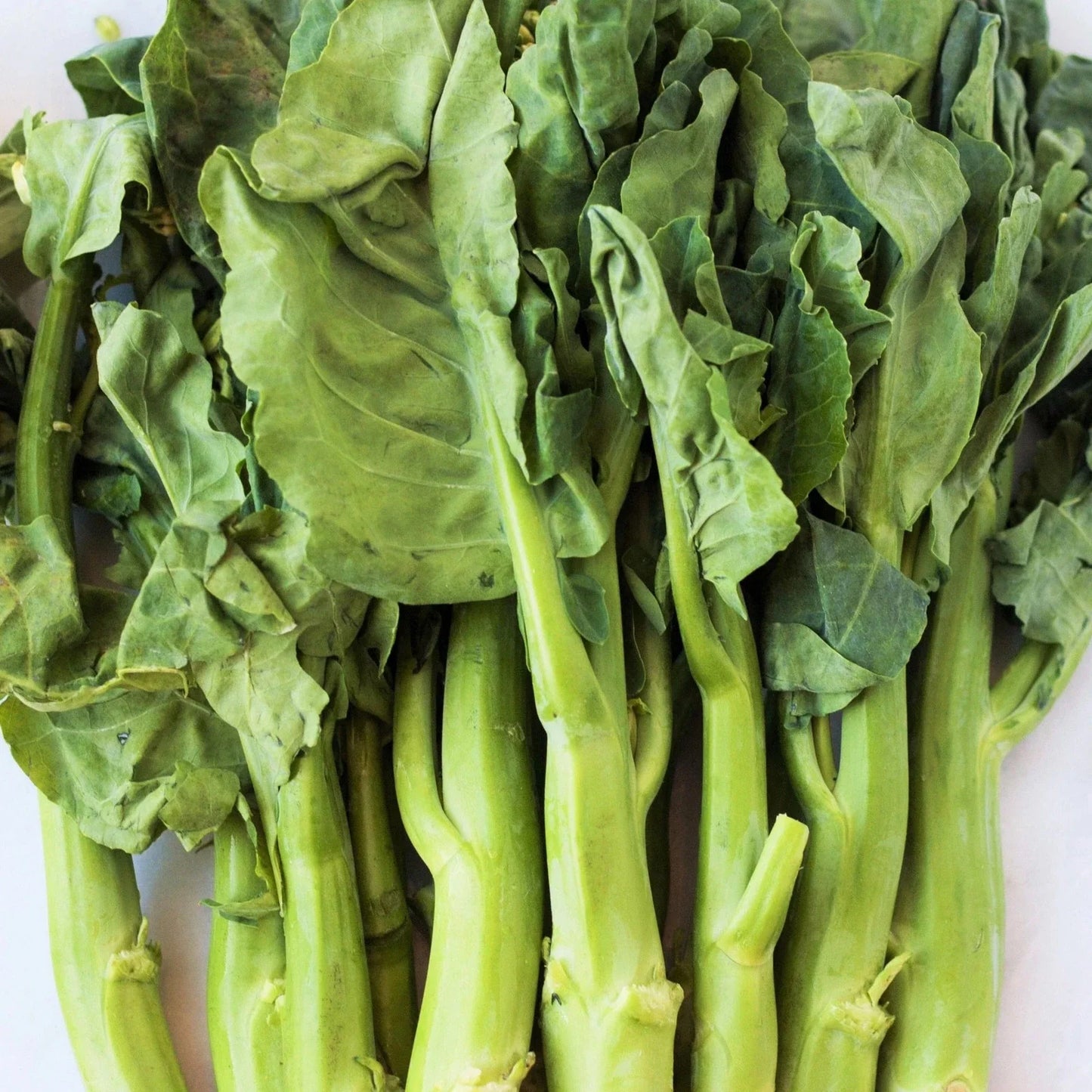 Chinese Broccoli Seeds - Jie Lan Gai Lan - Rapini Rabe Kale Stem - Ideal for 2025 Planting
