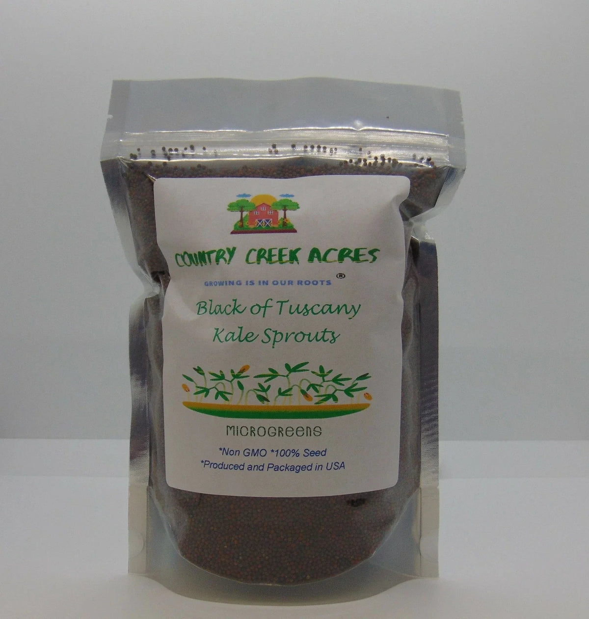 Black of Tuscany Kale Seeds - Heirloom Variety - Brassica oleracea 'Nero di Toscana'