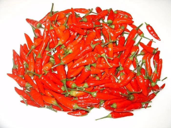 Tabasco Pepper Seeds - Hot Variety for Pepper Sauce - Prolific Container Choice - Capsicum frutescens