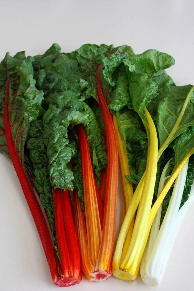 Swiss Chard Seeds - Orange Fantasia - 50 Seeds - Bright Orange - Perfect for Salads - Beta vulgaris var. cicla
