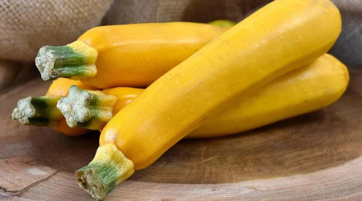 Zucchini Squash Seeds, 25+ Easy Pick Gold II, Cucurbita pepo, USA - Perfect for Home Gardening, Non-GMO, Free Shipping