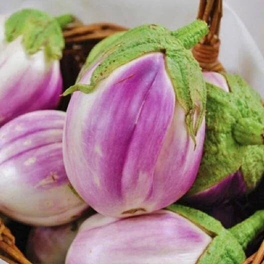 Rosa Bianca Eggplant Seeds - 50+ Heirloom Non-GMO Seeds - Solanum melongena - Organic Vegetable Garden Heirloom Seeds