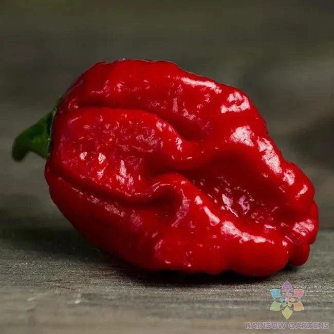 Trinidad Moruga Scorpion Hot Pepper Seeds - 25+ Pack - Capsicum chinense - USA Grown, Free Shipping