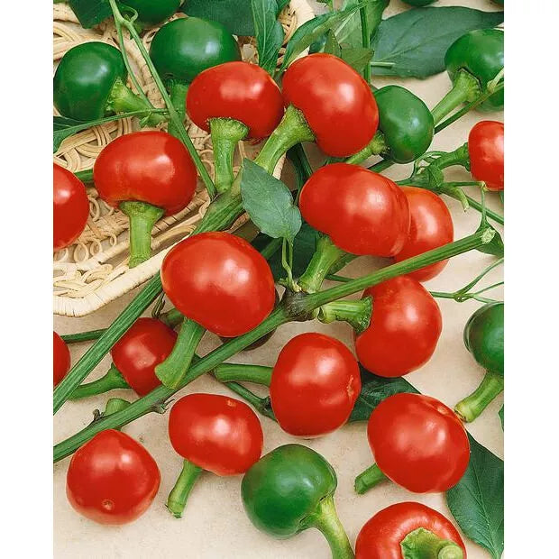 Large Red Cherry Hot Pepper Seeds - 100 Non-GMO Heirloom Seeds - Capsicum annuum