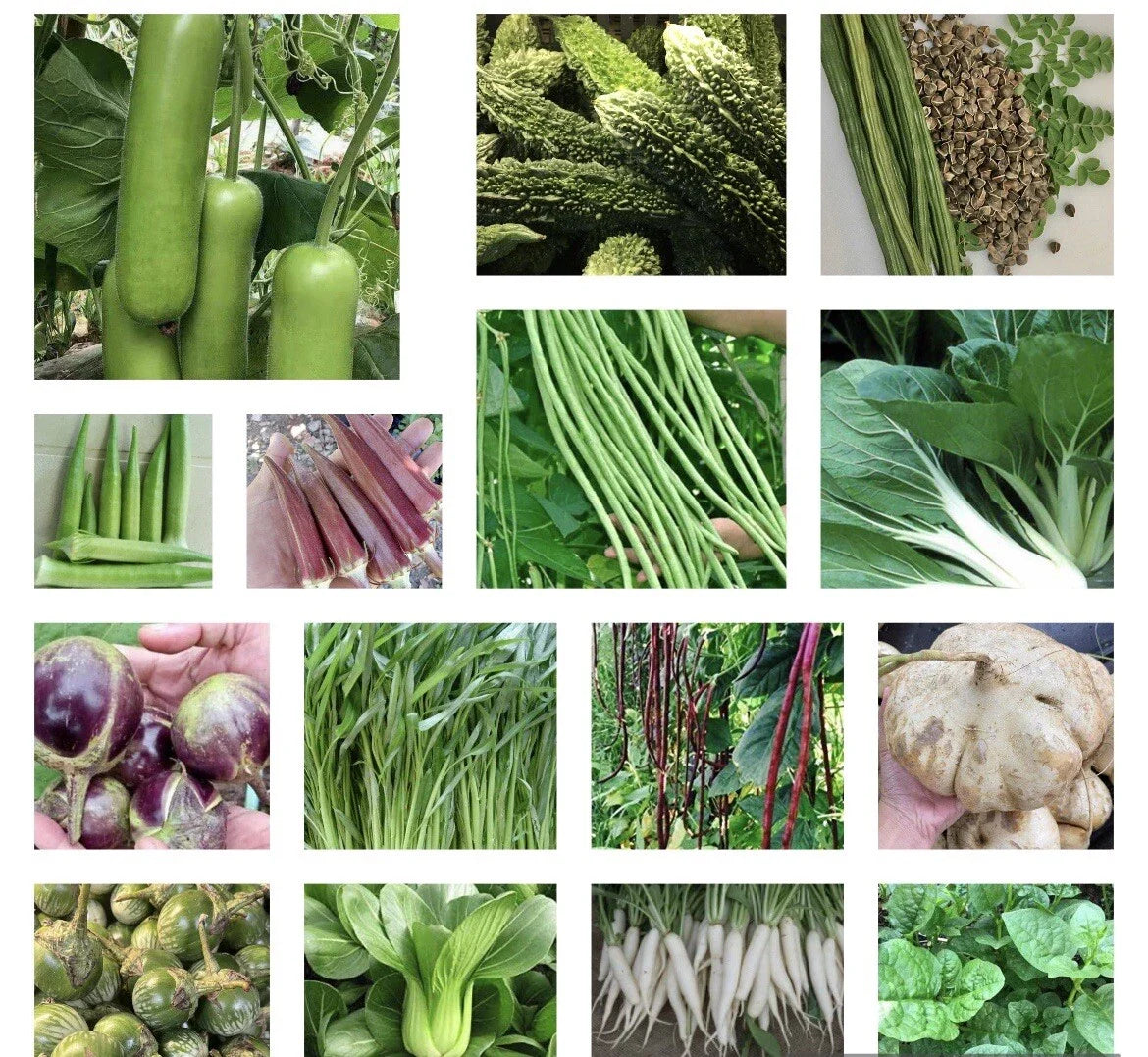 Asian Vegetable Seeds - 20+ Variety Heirloom Non-GMO - Perfect for Home Gardening